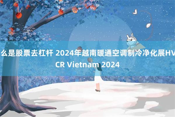 什么是股票去杠杆 2024年越南暖通空调制冷净化展HVACR Vietnam 2024