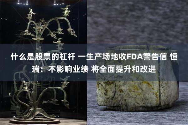 什么是股票的杠杆 一生产场地收FDA警告信 恒瑞：不影响业绩 将全面提升和改进