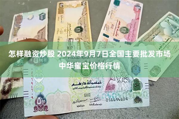 怎样融资炒股 2024年9月7日全国主要批发市场中华蜜宝价格行情