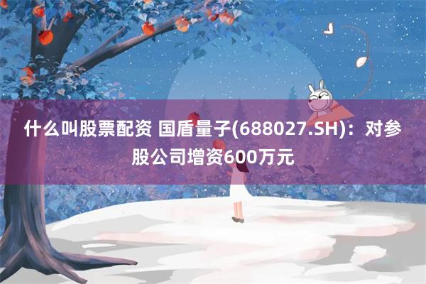 什么叫股票配资 国盾量子(688027.SH)：对参股公司增资600万元