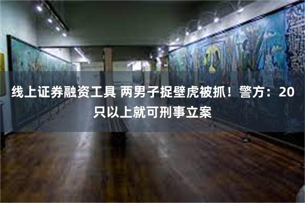 线上证券融资工具 两男子捉壁虎被抓！警方：20只以上就可刑事立案