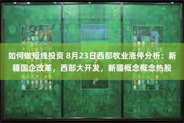 如何做短线投资 8月23日西部牧业涨停分析：新疆国企改革，西部大开发，新疆概念概念热股