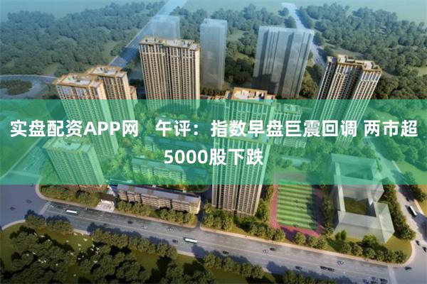 实盘配资APP网   午评：指数早盘巨震回调 两市超5000股下跌