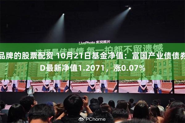 品牌的股票配资 10月21日基金净值：富国产业债债券D最新净值1.2071，涨0.07%