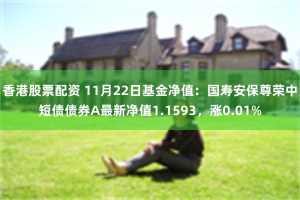 香港股票配资 11月22日基金净值：国寿安保尊荣中短债债券A最新净值1.1593，涨0.01%