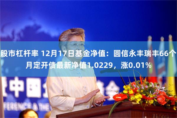 股市杠杆率 12月17日基金净值：圆信永丰瑞丰66个月定开债最新净值1.0229，涨0.01%