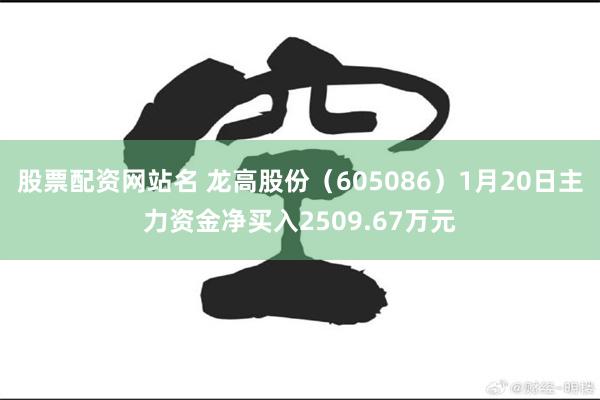 股票配资网站名 龙高股份（605086）1月20日主力资金净买入2509.67万元