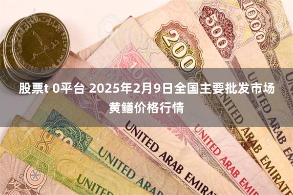 股票t 0平台 2025年2月9日全国主要批发市场黄鳝价格行情