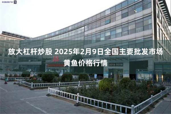 放大杠杆炒股 2025年2月9日全国主要批发市场黄鱼价格行情